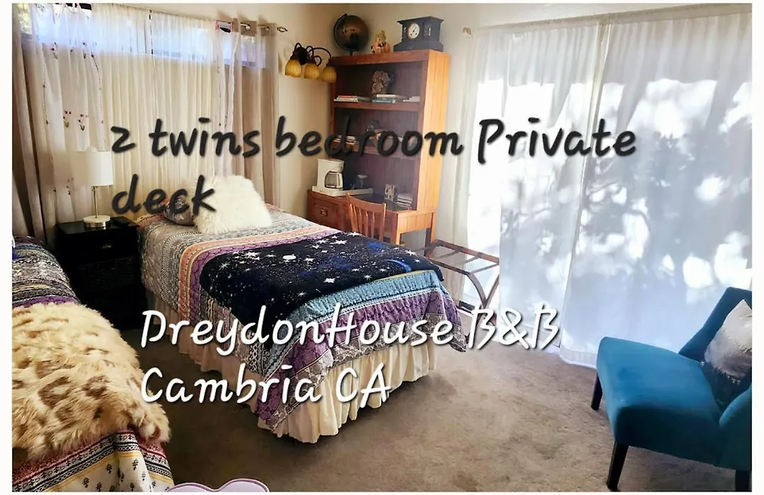 Dreydon House Bed And Breakfast-1