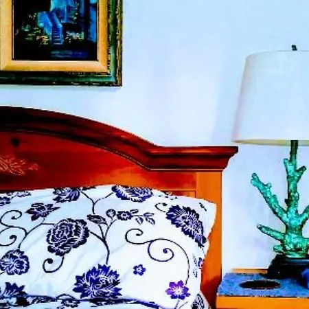 Dreydon House Bed And Breakfast-2